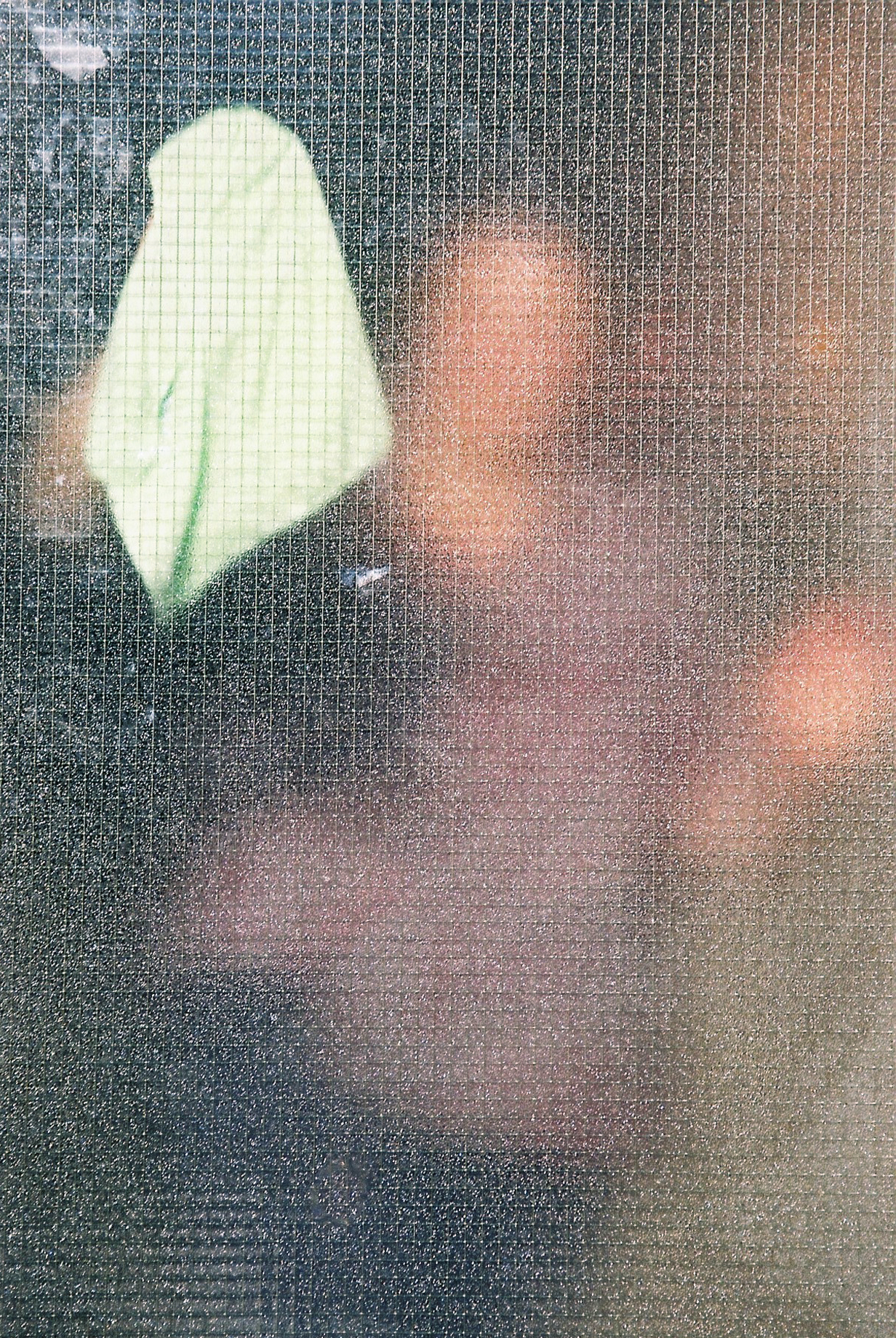 F1000010-2
