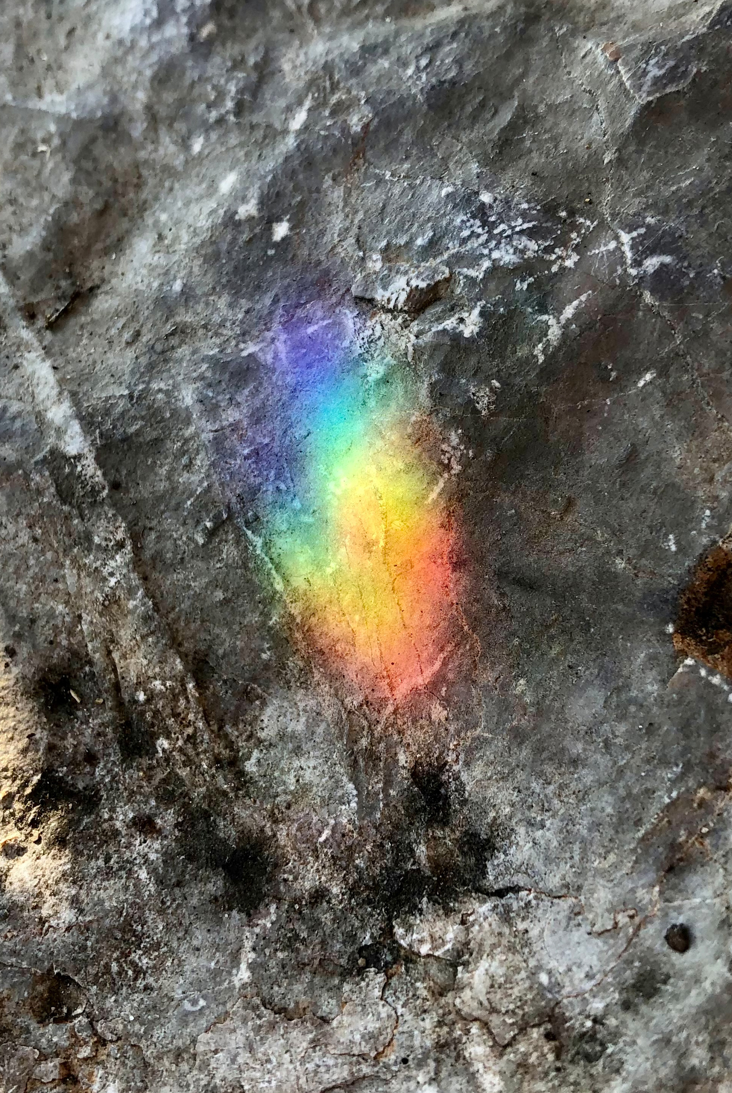 QueerSnapshots-14